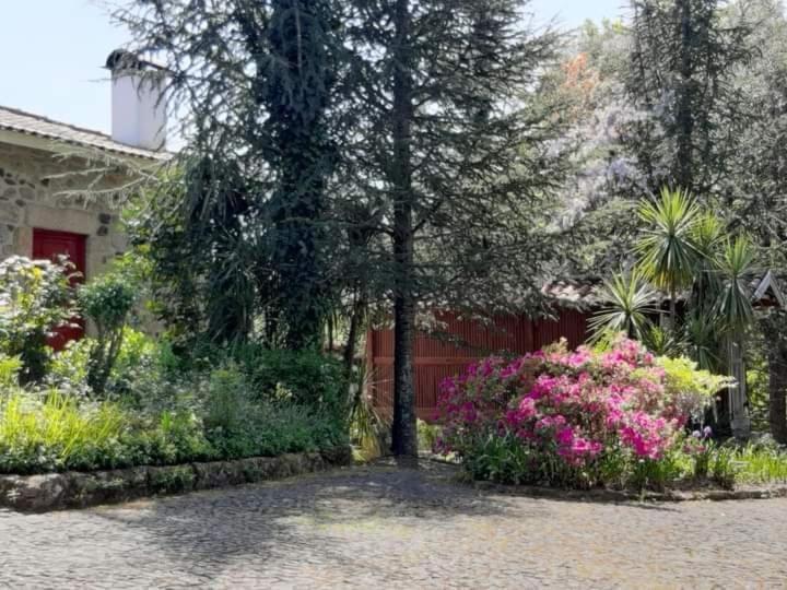Quinta Da Chouza Agroturismo E Enoturismo Celorico De Basto Exterior foto