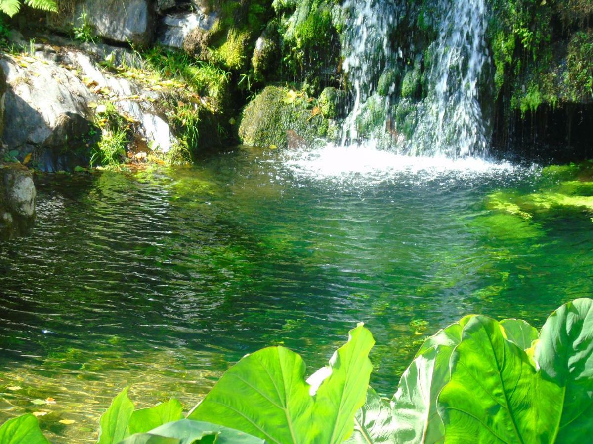 Quinta Da Chouza Agroturismo E Enoturismo Celorico De Basto Exterior foto