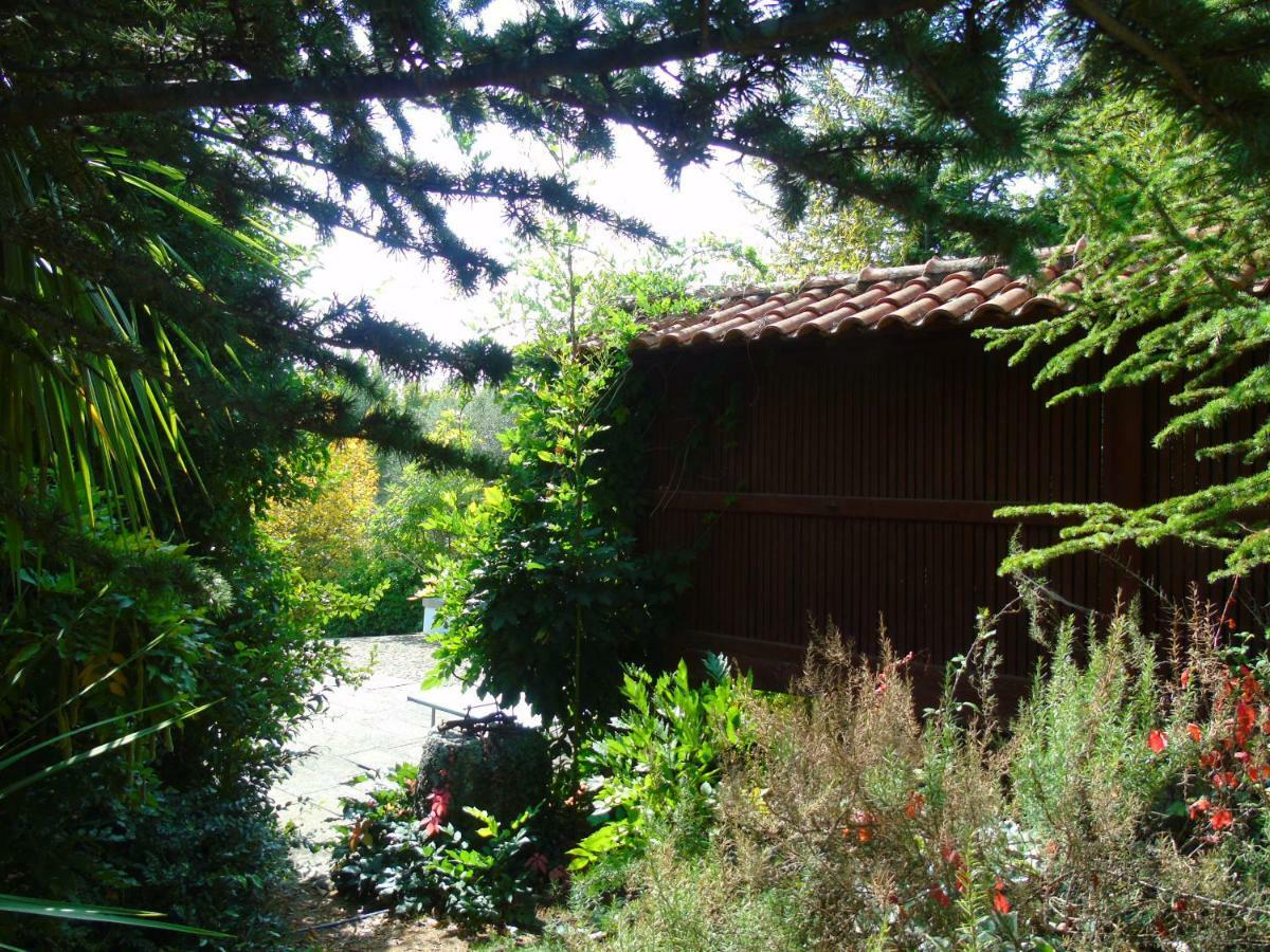 Quinta Da Chouza Agroturismo E Enoturismo Celorico De Basto Exterior foto