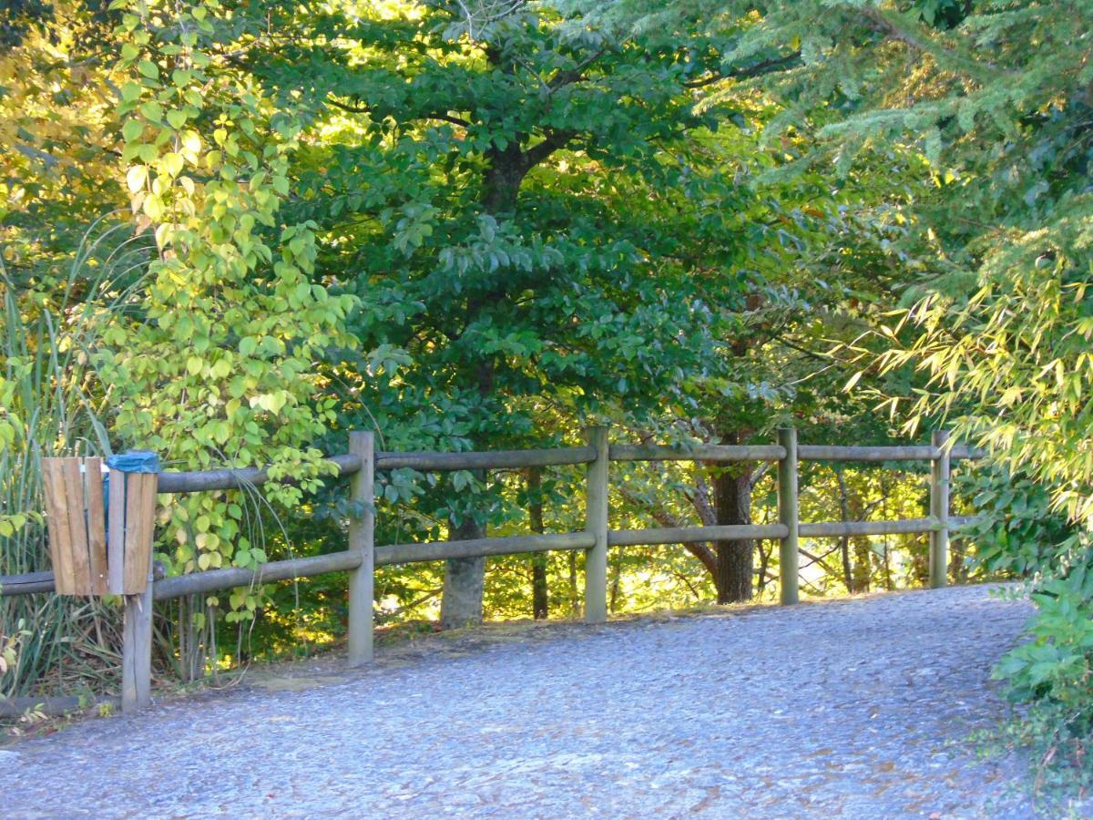 Quinta Da Chouza Agroturismo E Enoturismo Celorico De Basto Exterior foto