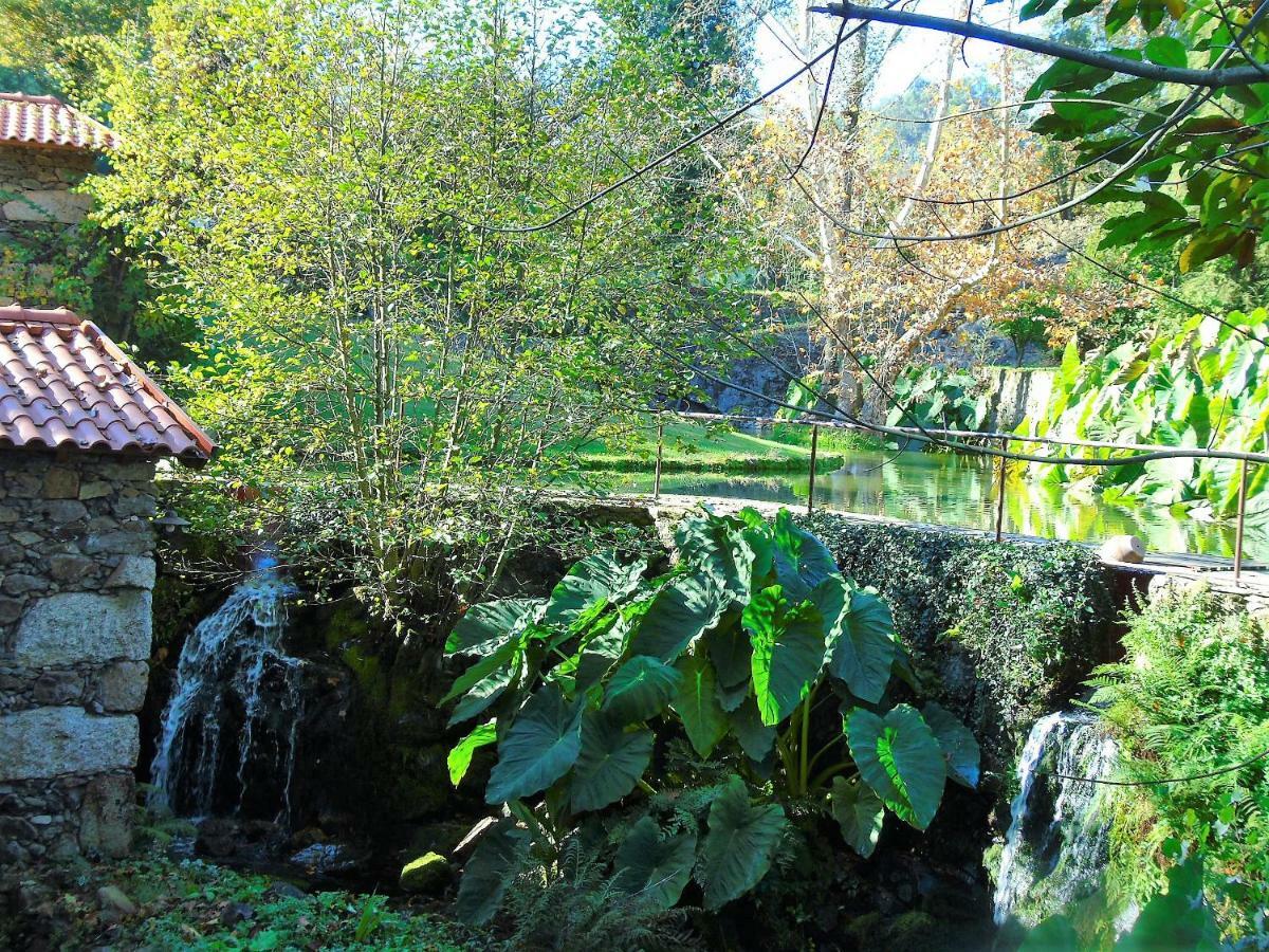 Quinta Da Chouza Agroturismo E Enoturismo Celorico De Basto Exterior foto