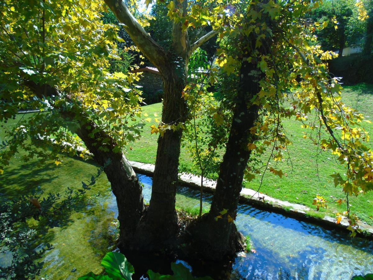 Quinta Da Chouza Agroturismo E Enoturismo Celorico De Basto Exterior foto